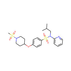 CC(C)CN(c1ccccn1)S(=O)(=O)c1ccc(OC2CCN(S(C)(=O)=O)CC2)cc1 ZINC000299830967