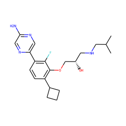 CC(C)CNC[C@H](O)COc1c(C2CCC2)ccc(-c2cnc(N)cn2)c1F ZINC000224563165