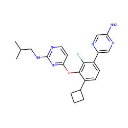 CC(C)CNc1nccc(Oc2c(C3CCC3)ccc(-c3cnc(N)cn3)c2F)n1 ZINC000224576982