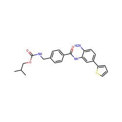 CC(C)COC(=O)NCc1ccc(C(=O)Nc2cc(-c3cccs3)ccc2N)cc1 ZINC000141418500