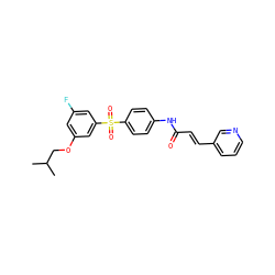 CC(C)COc1cc(F)cc(S(=O)(=O)c2ccc(NC(=O)/C=C/c3cccnc3)cc2)c1 ZINC000205357164
