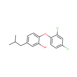 CC(C)Cc1ccc(Oc2ccc(Cl)cc2Cl)c(O)c1 ZINC000029061421
