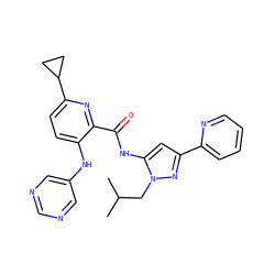 CC(C)Cn1nc(-c2ccccn2)cc1NC(=O)c1nc(C2CC2)ccc1Nc1cncnc1 ZINC000096167399