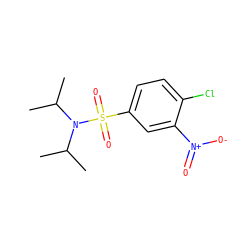 CC(C)N(C(C)C)S(=O)(=O)c1ccc(Cl)c([N+](=O)[O-])c1 ZINC000029488782
