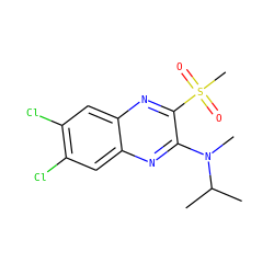CC(C)N(C)c1nc2cc(Cl)c(Cl)cc2nc1S(C)(=O)=O ZINC000028951050