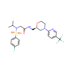 CC(C)N(CC(=O)NC[C@@H]1CN(c2ccc(C(F)(F)F)cn2)CCO1)S(=O)(=O)c1ccc(F)cc1 ZINC000209403058