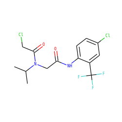 CC(C)N(CC(=O)Nc1ccc(Cl)cc1C(F)(F)F)C(=O)CCl ZINC000002641110