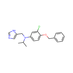 CC(C)N(Cc1cnc[nH]1)c1ccc(OCc2ccccc2)c(Cl)c1 ZINC000096177512