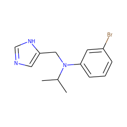 CC(C)N(Cc1cnc[nH]1)c1cccc(Br)c1 ZINC000043194982