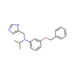 CC(C)N(Cc1cnc[nH]1)c1cccc(OCc2ccccc2)c1 ZINC000096177506