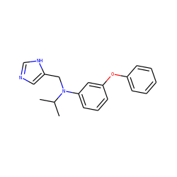 CC(C)N(Cc1cnc[nH]1)c1cccc(Oc2ccccc2)c1 ZINC000096177508
