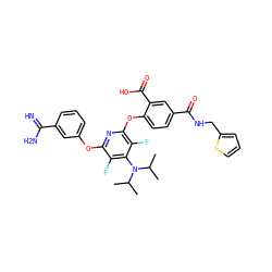 CC(C)N(c1c(F)c(Oc2cccc(C(=N)N)c2)nc(Oc2ccc(C(=O)NCc3cccs3)cc2C(=O)O)c1F)C(C)C ZINC000028569852