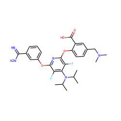 CC(C)N(c1c(F)c(Oc2cccc(C(=N)N)c2)nc(Oc2ccc(CN(C)C)cc2C(=O)O)c1F)C(C)C ZINC000028570437