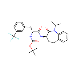 CC(C)N1C(=O)[C@H](NC(=O)[C@@H](Cc2cccc(C(F)(F)F)c2)NC(=O)OC(C)(C)C)CCc2ccccc21 ZINC000028952723