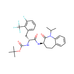 CC(C)N1C(=O)[C@H](NC(=O)[C@@H](Cc2cccc(F)c2C(F)(F)F)NC(=O)OC(C)(C)C)CCc2ccccc21 ZINC000028952729