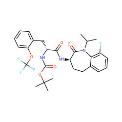 CC(C)N1C(=O)[C@H](NC(=O)[C@@H](Cc2ccccc2OC(F)(F)F)NC(=O)OC(C)(C)C)CCc2cccc(F)c21 ZINC000096923522