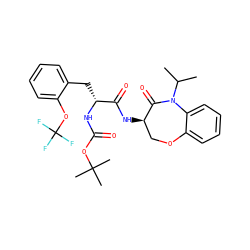 CC(C)N1C(=O)[C@H](NC(=O)[C@@H](Cc2ccccc2OC(F)(F)F)NC(=O)OC(C)(C)C)COc2ccccc21 ZINC000028958081