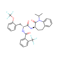CC(C)N1C(=O)[C@H](NC(=O)[C@@H](Cc2ccccc2OC(F)(F)F)NC(=O)c2ccccc2C(F)(F)F)CCc2ccccc21 ZINC000028958057