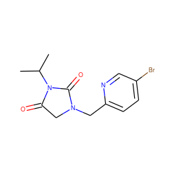 CC(C)N1C(=O)CN(Cc2ccc(Br)cn2)C1=O ZINC000653786032