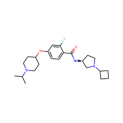 CC(C)N1CCC(Oc2ccc(C(=O)N[C@H]3CCN(C4CCC4)C3)c(F)c2)CC1 ZINC000653767660