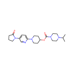 CC(C)N1CCN(C(=O)OC2CCN(c3ccc(N4CCCC4=O)cn3)CC2)CC1 ZINC000223518658