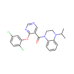 CC(C)N1CCN(C(=O)c2cncnc2Oc2cc(Cl)ccc2Cl)c2ccccc21 ZINC000095573439