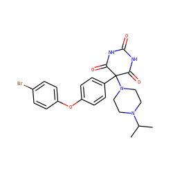 CC(C)N1CCN(C2(c3ccc(Oc4ccc(Br)cc4)cc3)C(=O)NC(=O)NC2=O)CC1 ZINC000022933637