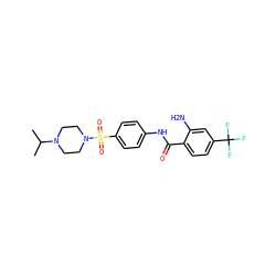 CC(C)N1CCN(S(=O)(=O)c2ccc(NC(=O)c3ccc(C(F)(F)F)cc3N)cc2)CC1 ZINC000473111387