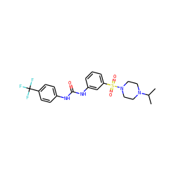 CC(C)N1CCN(S(=O)(=O)c2cccc(NC(=O)Nc3ccc(C(F)(F)F)cc3)c2)CC1 ZINC000049068600