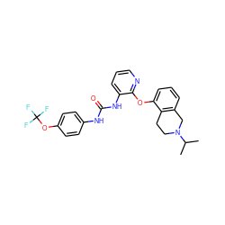 CC(C)N1CCc2c(cccc2Oc2ncccc2NC(=O)Nc2ccc(OC(F)(F)F)cc2)C1 ZINC000103239075