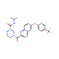 CC(C)NC(=O)[C@@H]1CN(C(=O)c2ccc3cc(Oc4ccc(C(F)(F)F)cn4)ccc3n2)CCN1 ZINC001772641442
