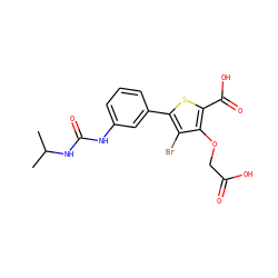 CC(C)NC(=O)Nc1cccc(-c2sc(C(=O)O)c(OCC(=O)O)c2Br)c1 ZINC000028711530