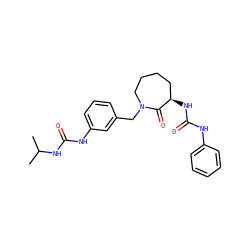 CC(C)NC(=O)Nc1cccc(CN2CCCC[C@@H](NC(=O)Nc3ccccc3)C2=O)c1 ZINC000013798949