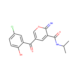 CC(C)NC(=O)c1cc(C(=O)c2cc(Cl)ccc2O)coc1=N ZINC000004165067