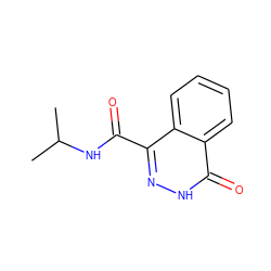 CC(C)NC(=O)c1n[nH]c(=O)c2ccccc12 ZINC000008577671