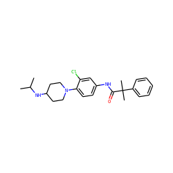 CC(C)NC1CCN(c2ccc(NC(=O)C(C)(C)c3ccccc3)cc2Cl)CC1 ZINC000064540024