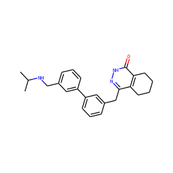 CC(C)NCc1cccc(-c2cccc(Cc3n[nH]c(=O)c4c3CCCC4)c2)c1 ZINC000167299646