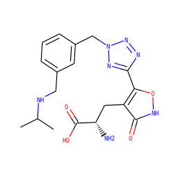 CC(C)NCc1cccc(Cn2nnc(-c3o[nH]c(=O)c3C[C@H](N)C(=O)O)n2)c1 ZINC000653727819