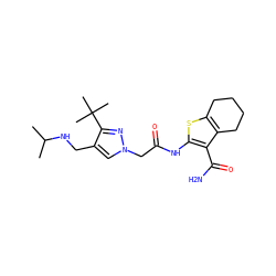 CC(C)NCc1cn(CC(=O)Nc2sc3c(c2C(N)=O)CCCC3)nc1C(C)(C)C ZINC000064548611