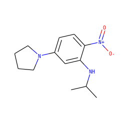 CC(C)Nc1cc(N2CCCC2)ccc1[N+](=O)[O-] ZINC000004740946