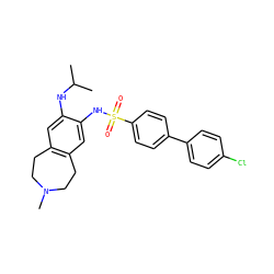 CC(C)Nc1cc2c(cc1NS(=O)(=O)c1ccc(-c3ccc(Cl)cc3)cc1)CCN(C)CC2 ZINC000052988078