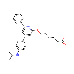 CC(C)Nc1ccc(-c2cc(OCCCCCC(=O)O)nc(-c3ccccc3)c2)cc1 ZINC000013729755