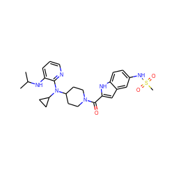 CC(C)Nc1cccnc1N(C1CC1)C1CCN(C(=O)c2cc3cc(NS(C)(=O)=O)ccc3[nH]2)CC1 ZINC000013758761