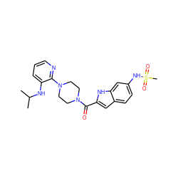 CC(C)Nc1cccnc1N1CCN(C(=O)c2cc3ccc(NS(C)(=O)=O)cc3[nH]2)CC1 ZINC000013827421