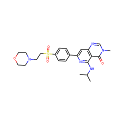 CC(C)Nc1nc(-c2ccc(S(=O)(=O)CCN3CCOCC3)cc2)cc2ncn(C)c(=O)c12 ZINC000115622028