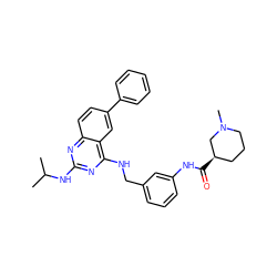 CC(C)Nc1nc(NCc2cccc(NC(=O)[C@@H]3CCCN(C)C3)c2)c2cc(-c3ccccc3)ccc2n1 ZINC001772634889