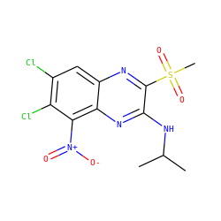 CC(C)Nc1nc2c([N+](=O)[O-])c(Cl)c(Cl)cc2nc1S(C)(=O)=O ZINC000028951116