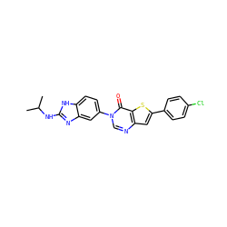 CC(C)Nc1nc2cc(-n3cnc4cc(-c5ccc(Cl)cc5)sc4c3=O)ccc2[nH]1 ZINC000040567537