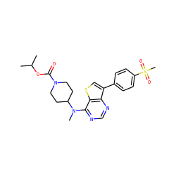 CC(C)OC(=O)N1CCC(N(C)c2ncnc3c(-c4ccc(S(C)(=O)=O)cc4)csc23)CC1 ZINC000205466299