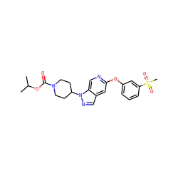 CC(C)OC(=O)N1CCC(n2ncc3cc(Oc4cccc(S(C)(=O)=O)c4)ncc32)CC1 ZINC000653859621